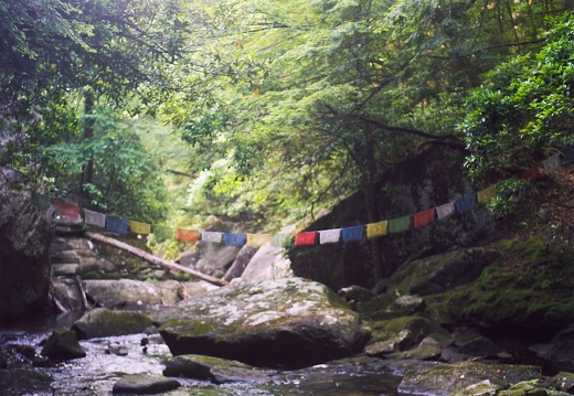 Cumberland Falls in June, 2010